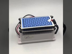 メーカー CE認証 新しいオゾン発電機 10g ダブルセラミックプレート 長寿命 オゾン部品